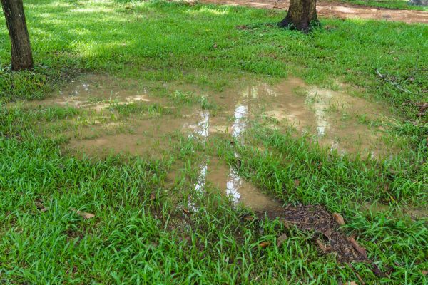 Cost of Storm Water Drainage Service in Boise