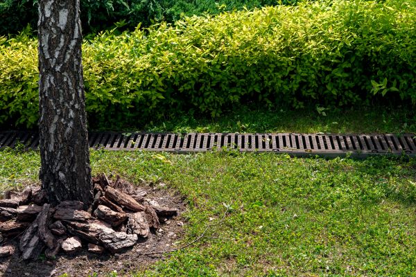 Cost of Yard Water Redirection in Boise