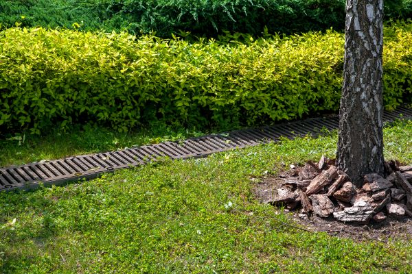 Cost of Residential Landscape Drainage in Boise