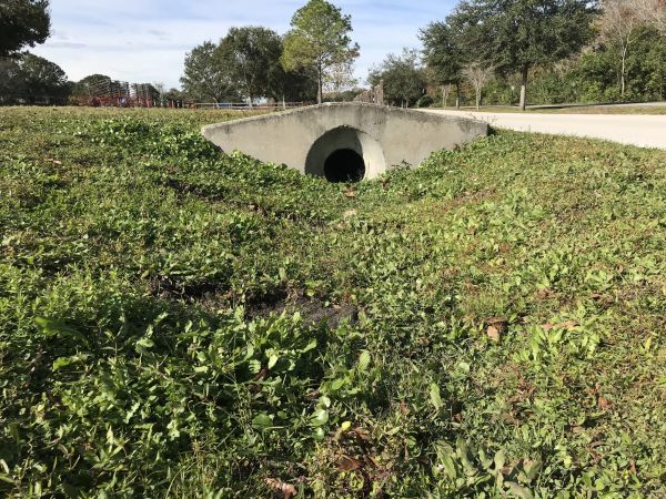 Cost of Swale Drainage Service in Boise