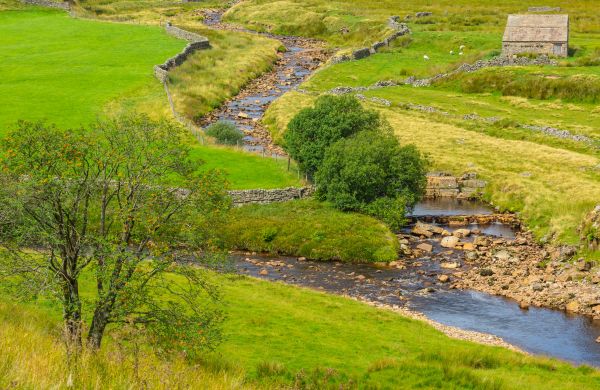 Cost of Swale Repair in Boise